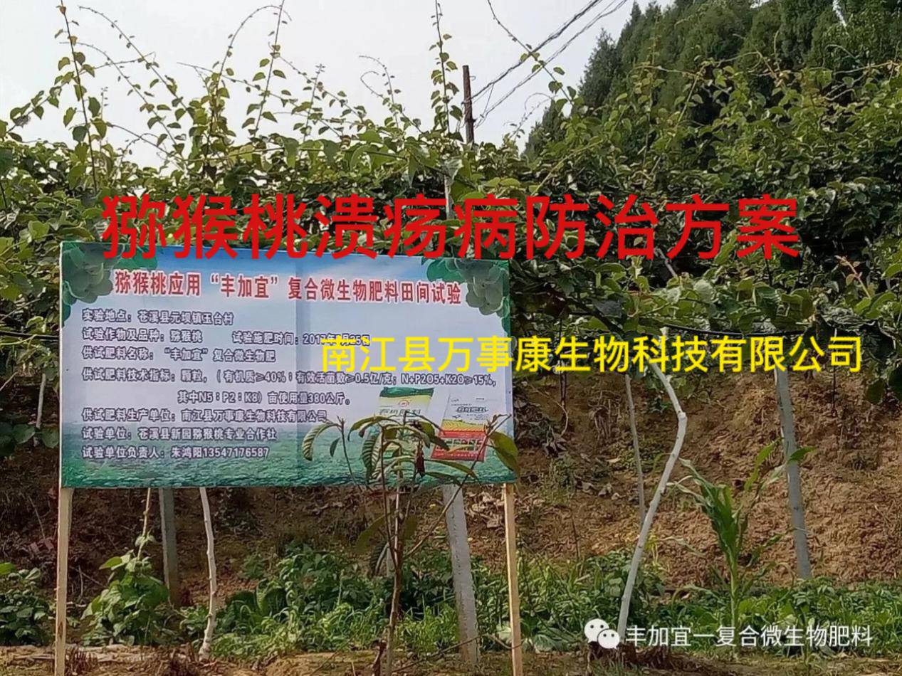 猕猴桃溃疡病防治方案